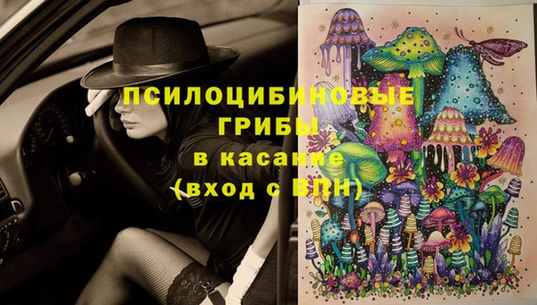 бутират Иннополис